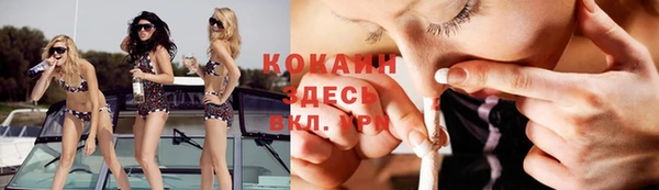 сатива Балахна
