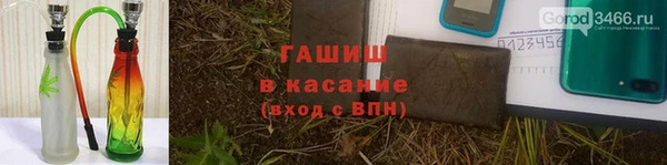 сатива Балахна