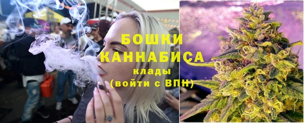 сатива Балахна