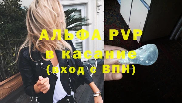 стафф Баксан