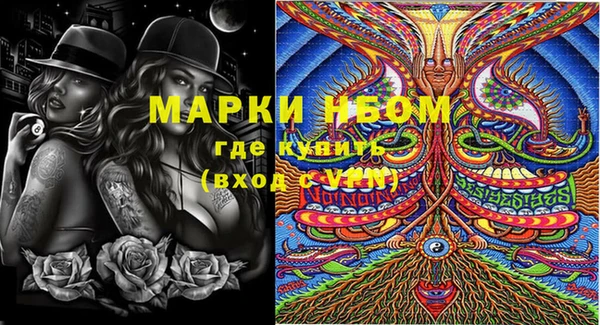 индика Балабаново