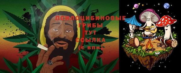 сатива Балахна