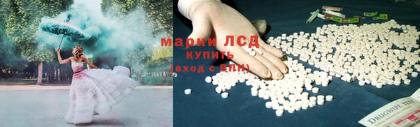 сатива Балахна