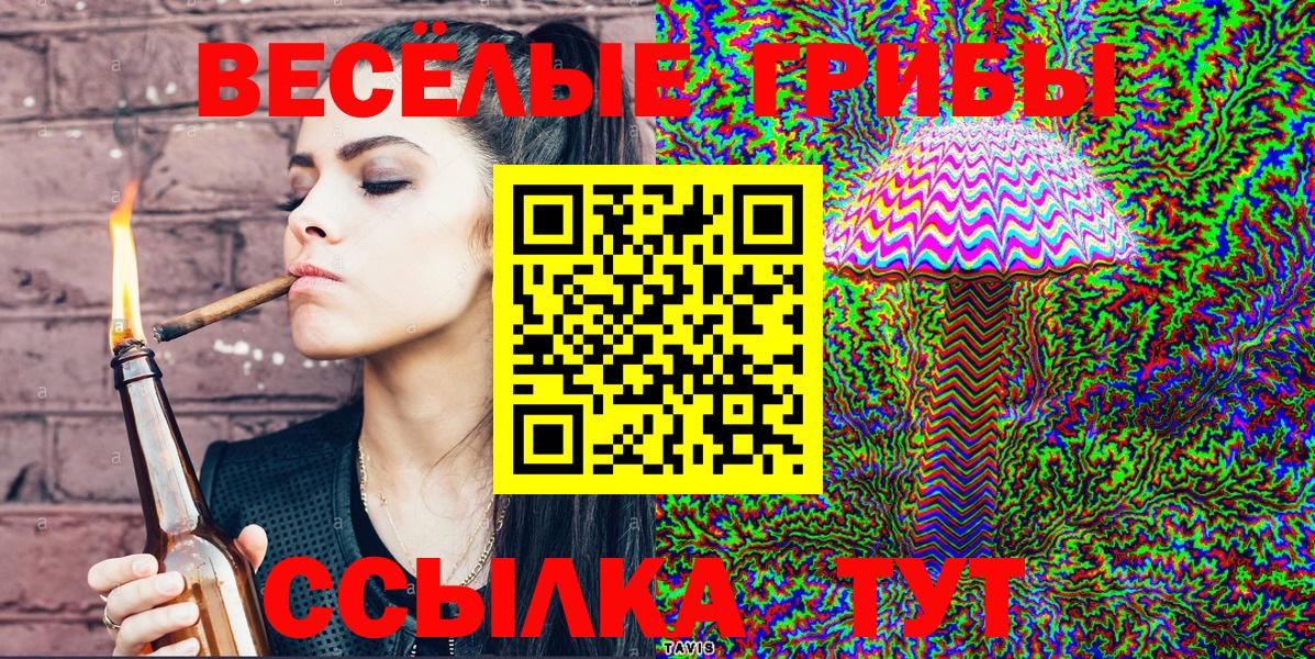 Галлюциногенные грибы GOLDEN TEACHER  Вход с VPN  Долгопрудный  купить  сайты  Галлюциногенные грибы Psilocybe 